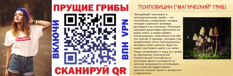 Псилоцибиновые грибы Psilocybe МЕГА маркетплейс сайты даркнета Telegram Ветлуга